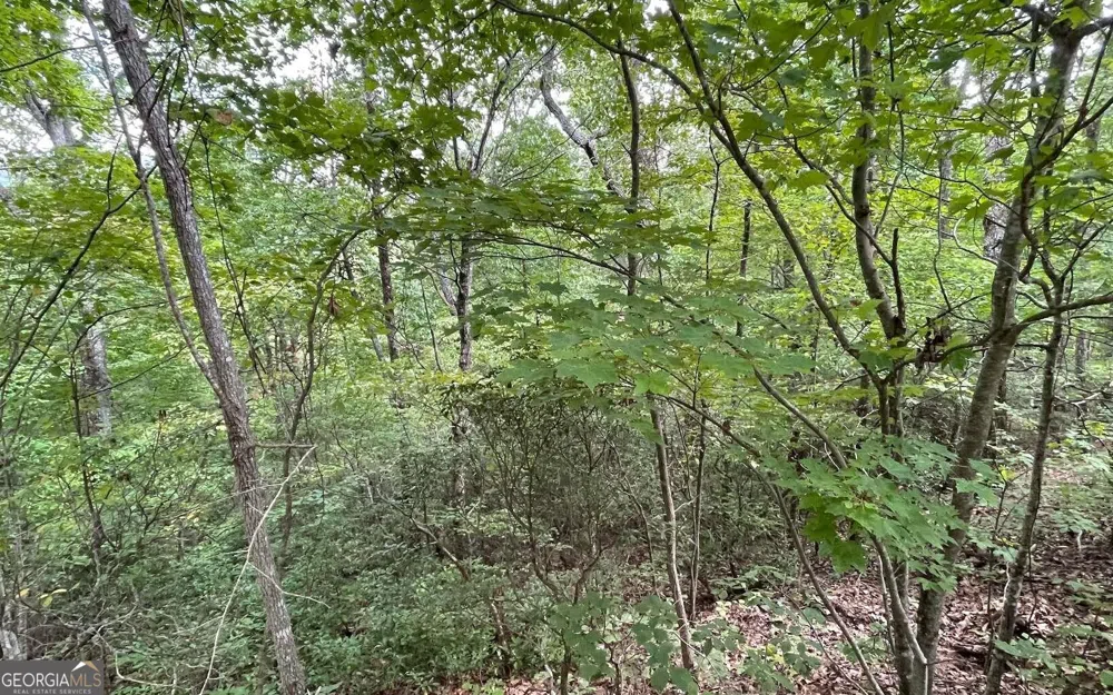LOT 20 Enchanted Ridge RDG Hayesville, NC 28904