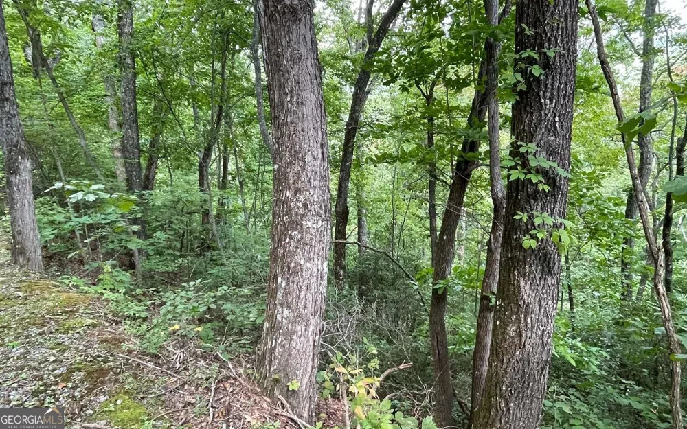 LOT 20 Enchanted Ridge RDG Hayesville, NC 28904