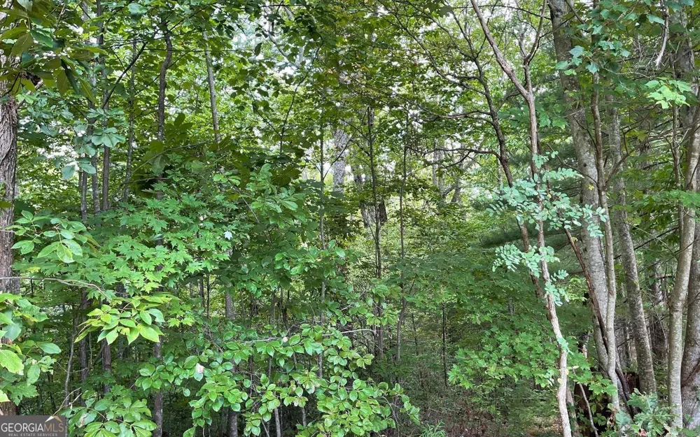 LOT 20 Enchanted Ridge RDG Hayesville, NC 28904