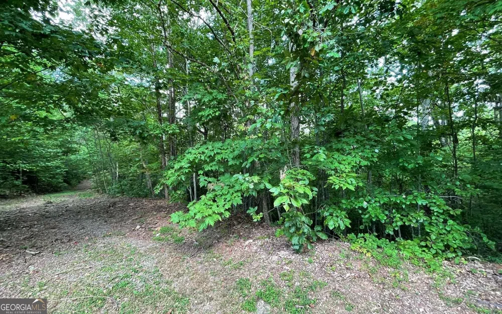 LOT 20 Enchanted Ridge RDG Hayesville, NC 28904