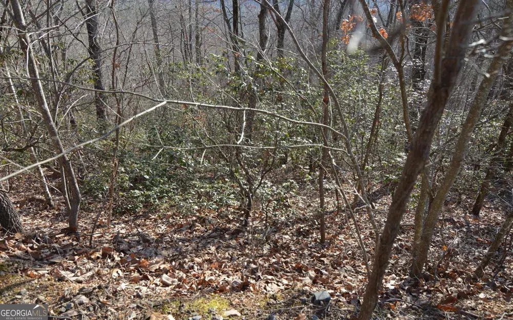 LOT 20 Enchanted Ridge RDG Hayesville, NC 28904
