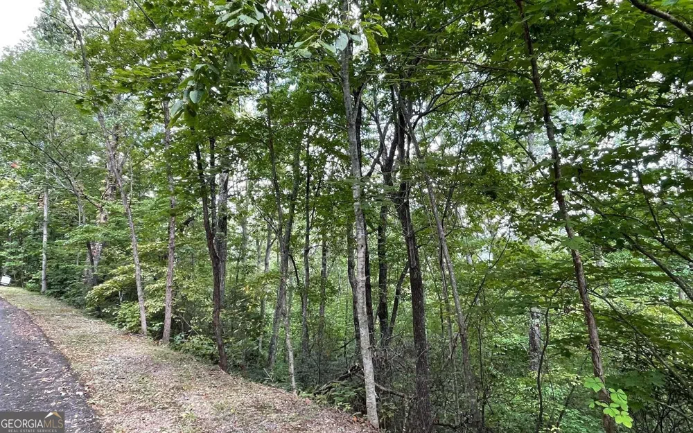 LOT 20 Enchanted Ridge RDG Hayesville, NC 28904