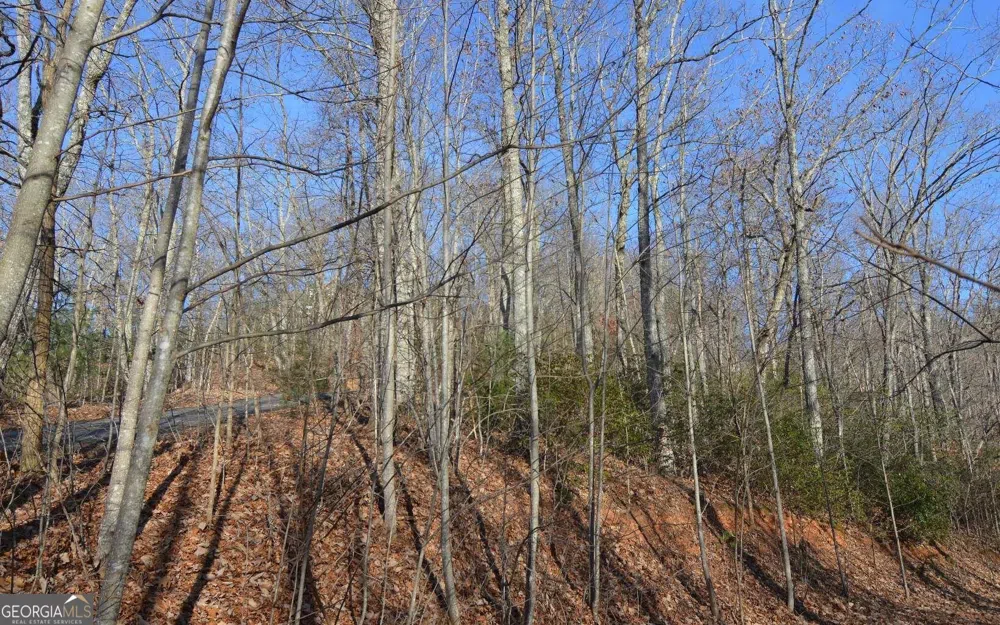 LOT 20 Enchanted Ridge RDG Hayesville, NC 28904