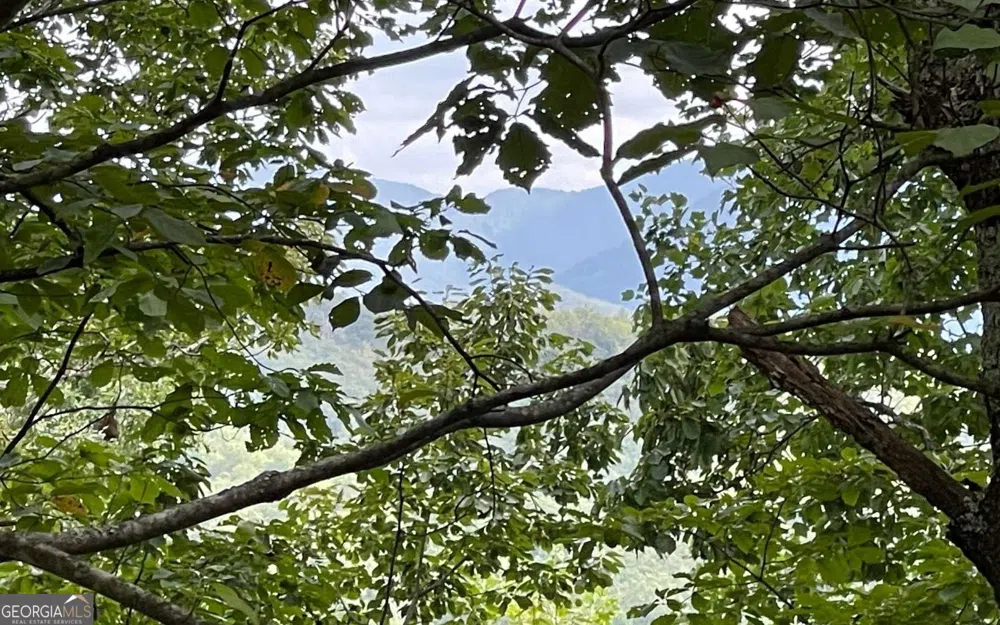 LOT 20 Enchanted Ridge RDG Hayesville, NC 28904