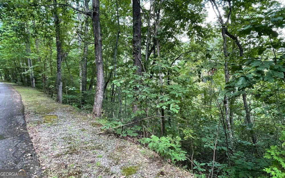 LOT 20 Enchanted Ridge RDG Hayesville, NC 28904