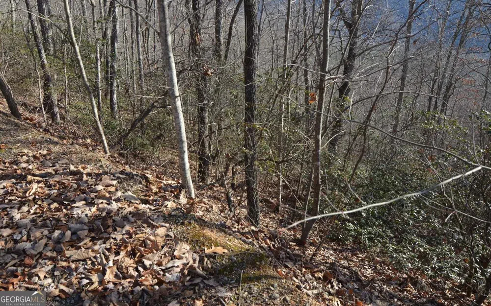LOT 20 Enchanted Ridge RDG Hayesville, NC 28904