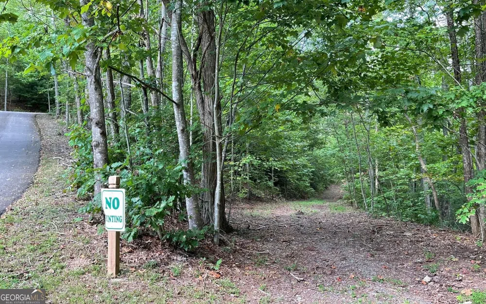 LOT 20 Enchanted Ridge RDG Hayesville, NC 28904