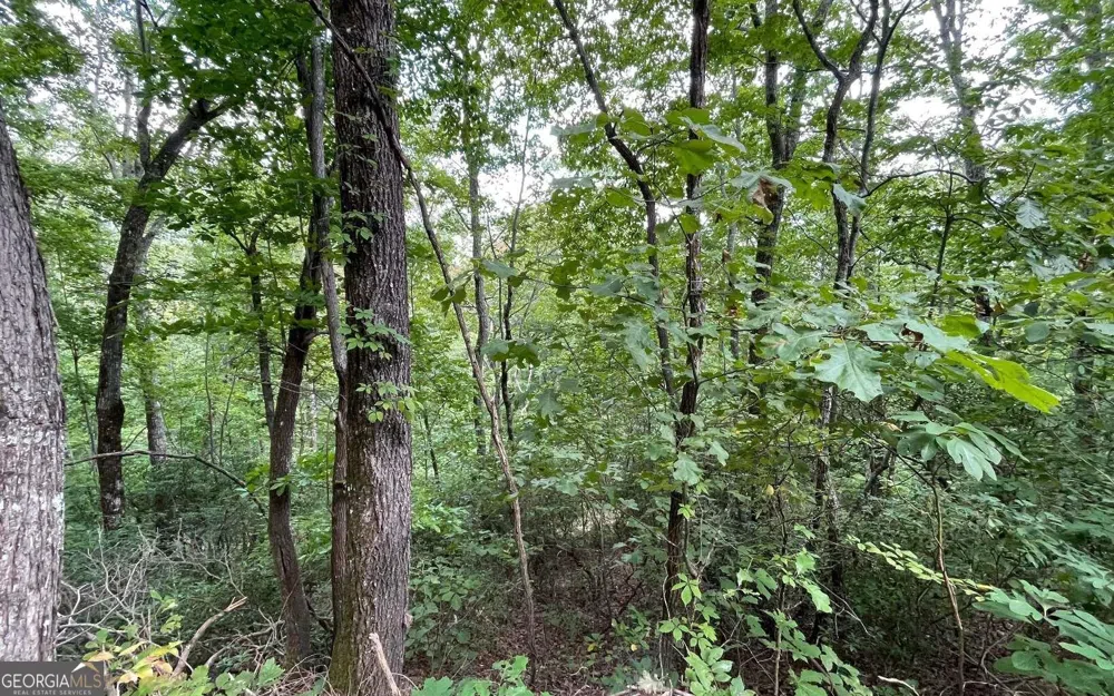 LOT 20 Enchanted Ridge RDG Hayesville, NC 28904