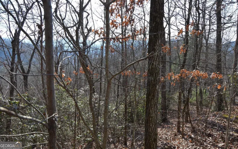 LOT 20 Enchanted Ridge RDG Hayesville, NC 28904