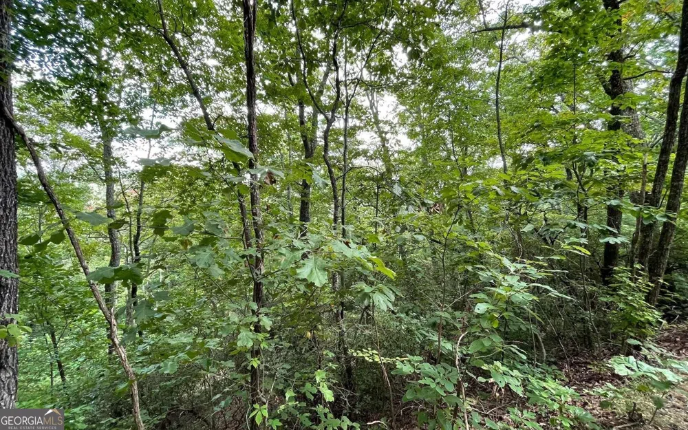LOT 20 Enchanted Ridge RDG Hayesville, NC 28904