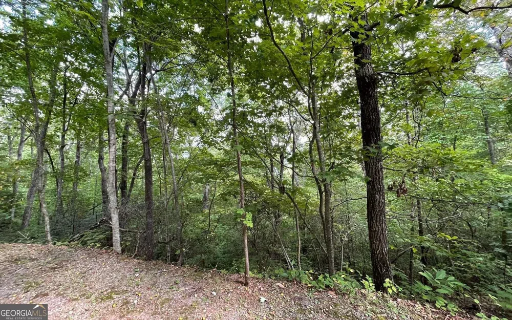 LOT 20 Enchanted Ridge RDG Hayesville, NC 28904
