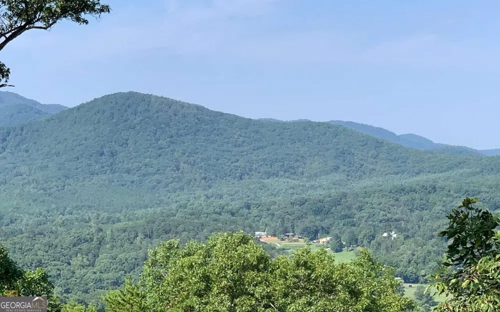 LOT 7 Golden Oak Estates Warne, NC 28909
