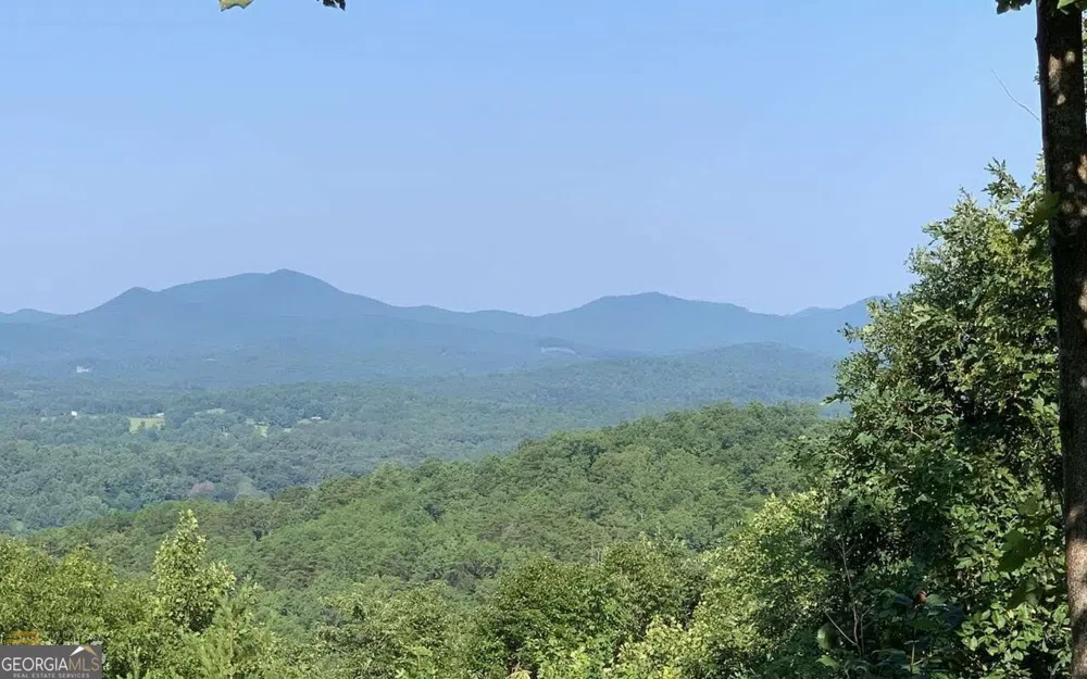 LOT 7 Golden Oak Estates Warne, NC 28909