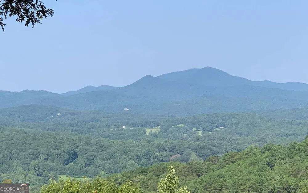 LOT 7 Golden Oak Estates Warne, NC 28909