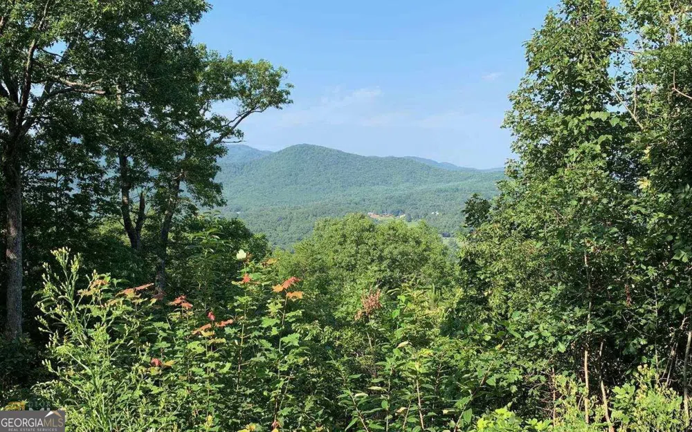 LOT 7 Golden Oak Estates Warne, NC 28909