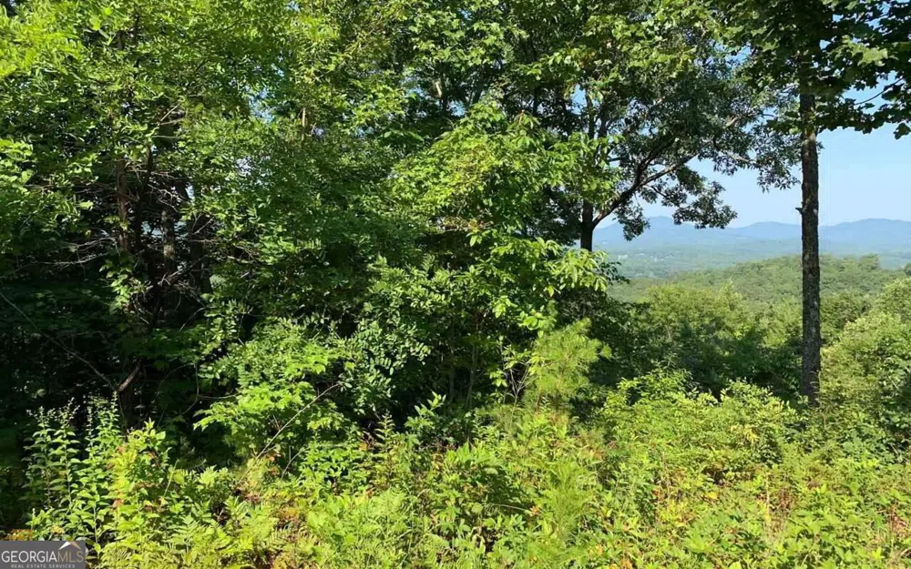 LOT 7 Golden Oak Estates Warne, NC 28909