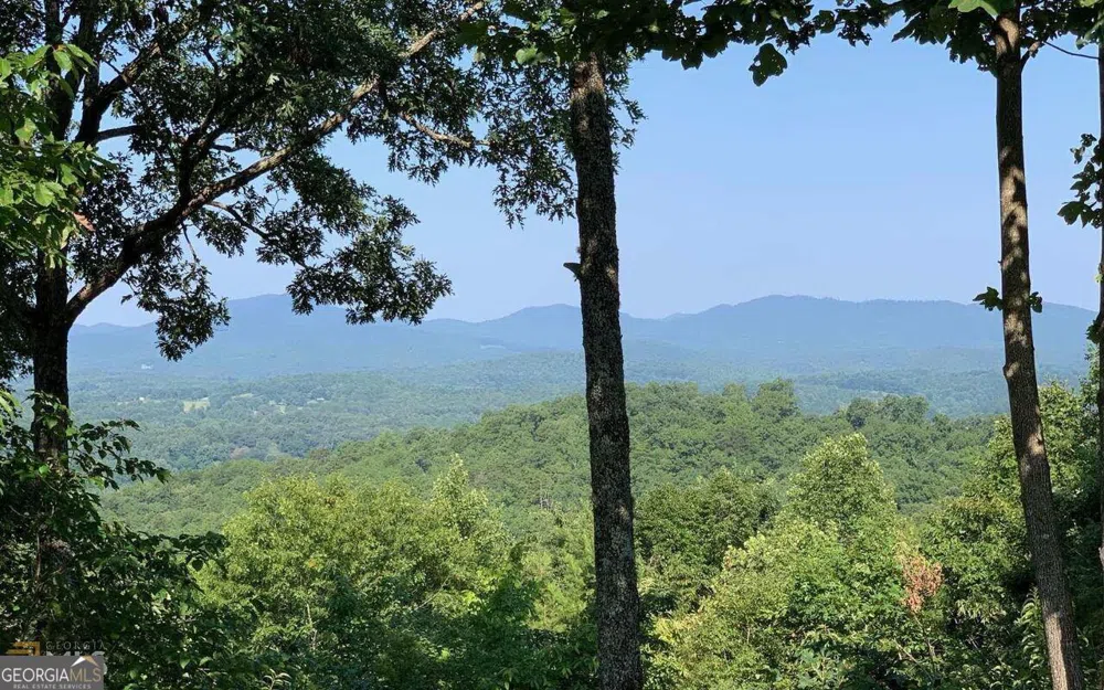 LOT 7 Golden Oak Estates Warne, NC 28909
