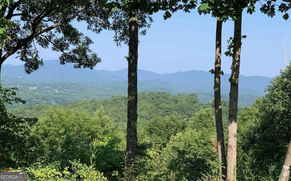 LOT 7 Golden Oak Estates Warne, NC 28909