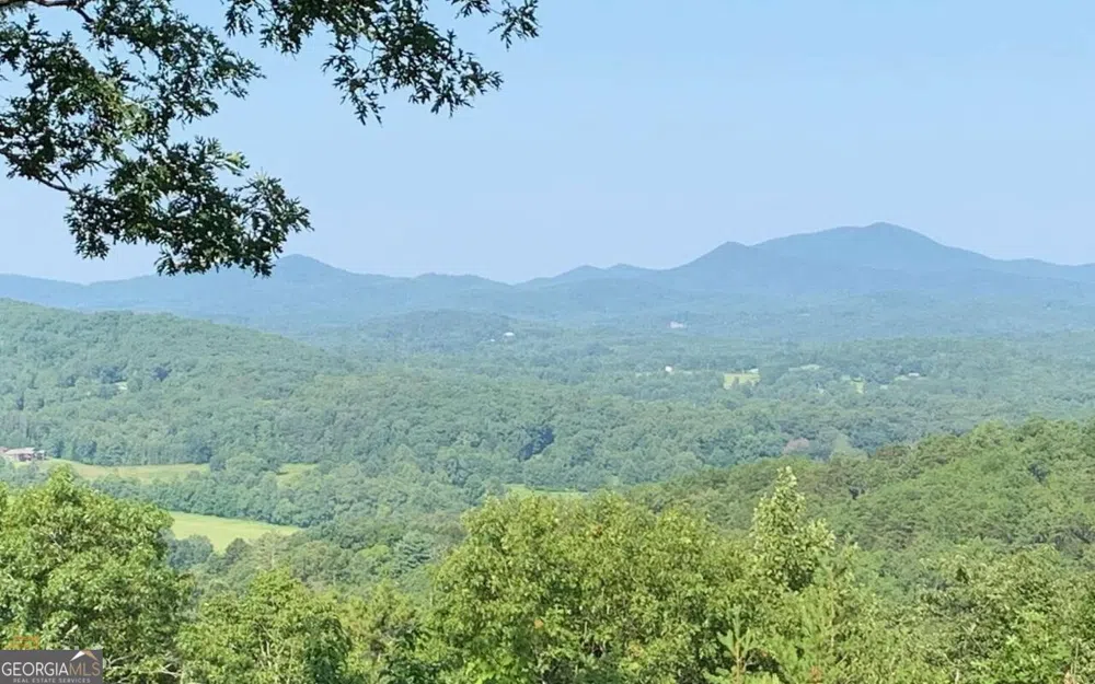 LOT 7 Golden Oak Estates Warne, NC 28909