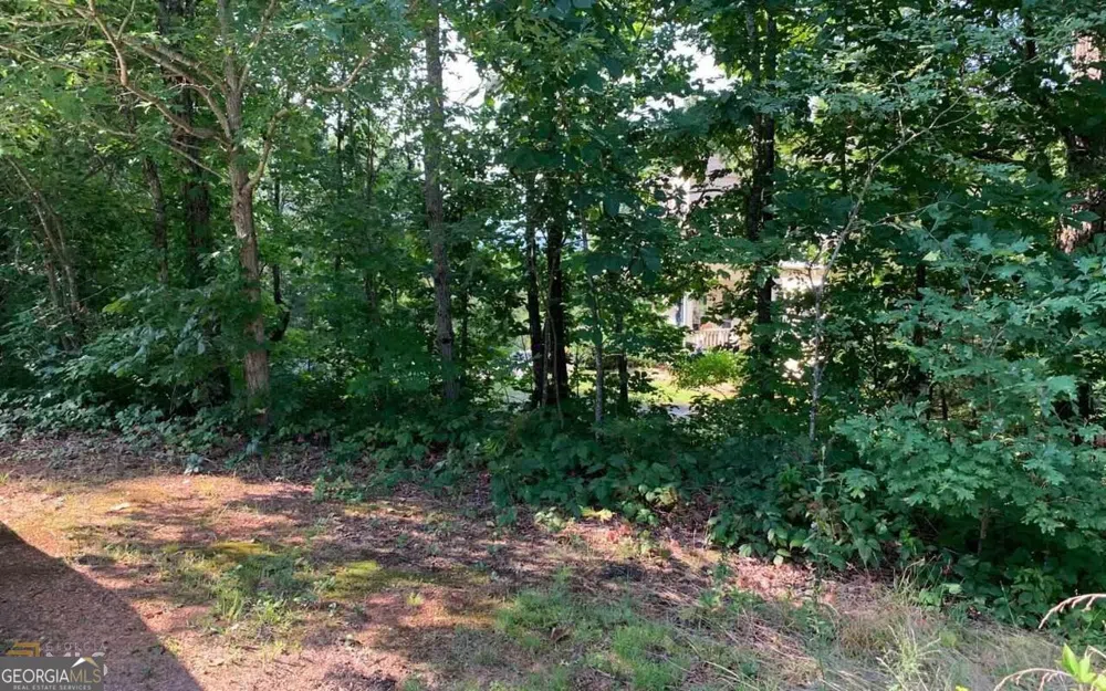 LOT 7 Golden Oak Estates Warne, NC 28909
