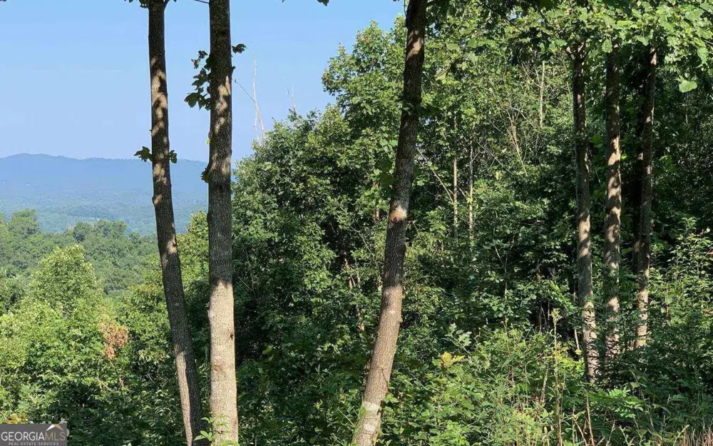 LOT 7 Golden Oak Estates Warne, NC 28909