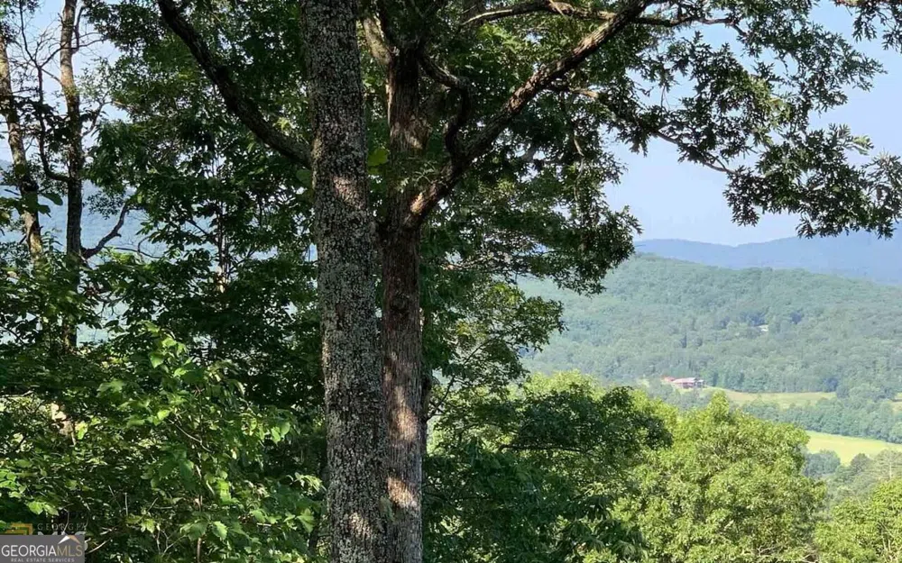LOT 7 Golden Oak Estates Warne, NC 28909