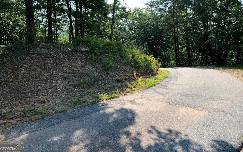 LOT 7 Golden Oak Estates Warne, NC 28909