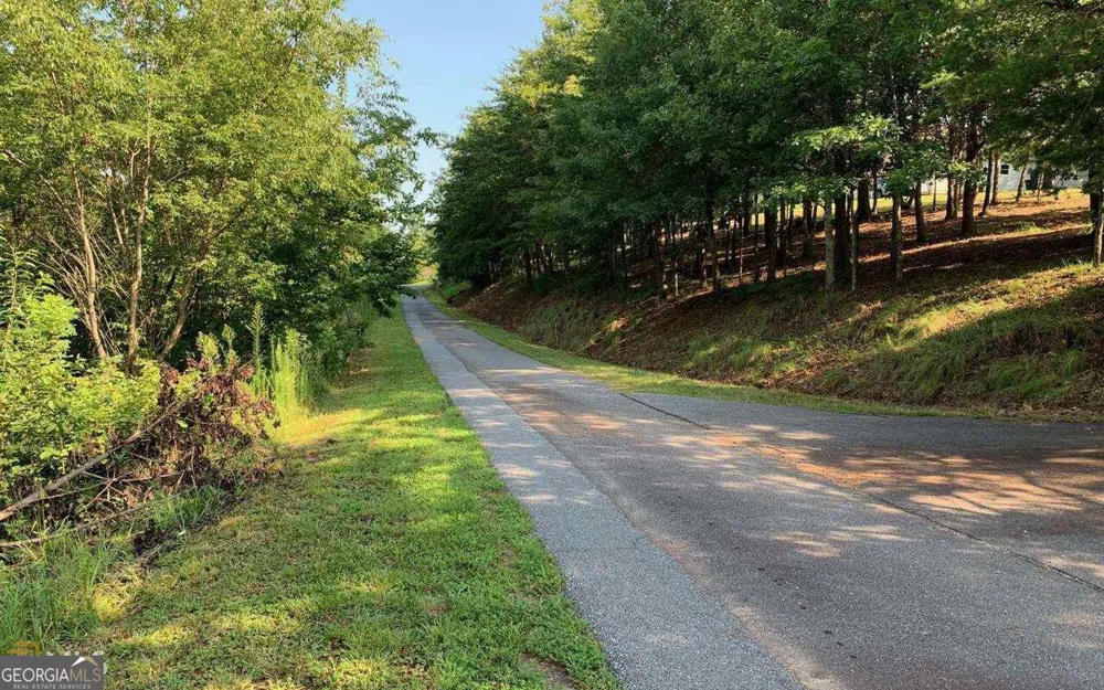 LOT 7 Golden Oak Estates Warne, NC 28909