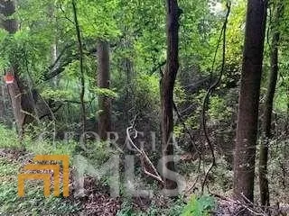 0 Willow Creek RD Fairburn, GA 30213