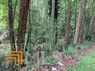 0 Willow Creek RD Fairburn, GA 30213