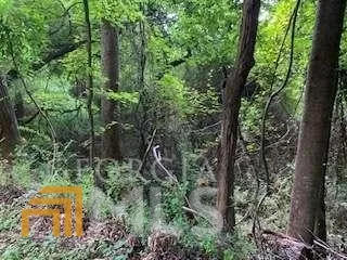 0 Willow Creek RD Fairburn, GA 30213