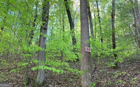 LOT 44 Fires Creek CV