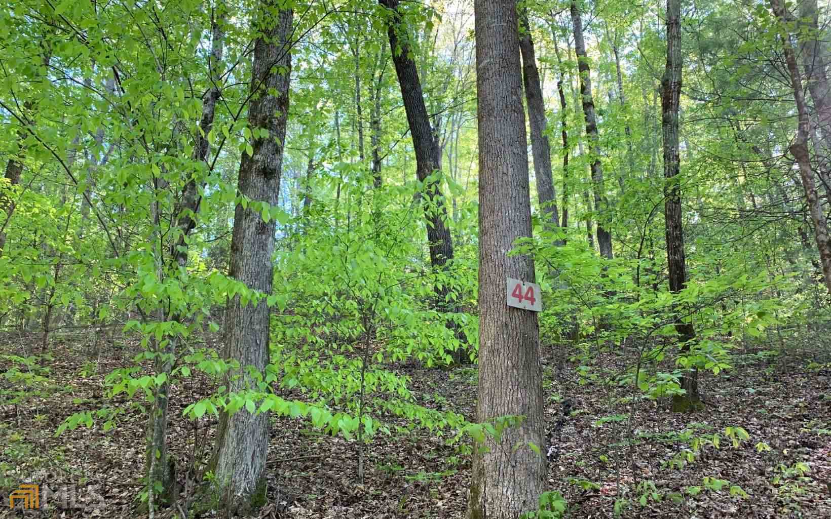 LOT 44 Fires Creek CV Hayesville, NC 28904