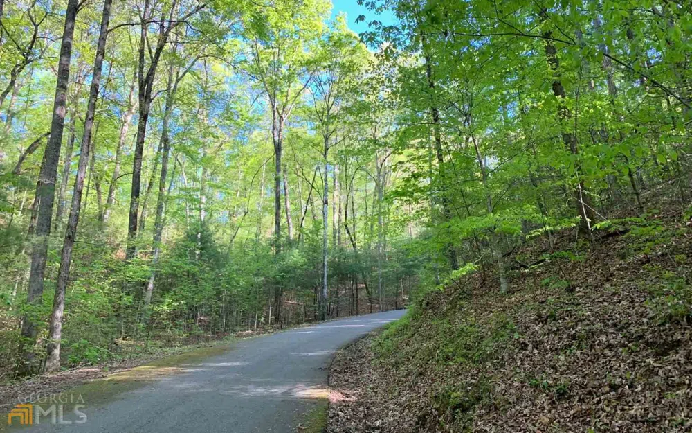 LOT 44 Fires Creek CV Hayesville, NC 28904