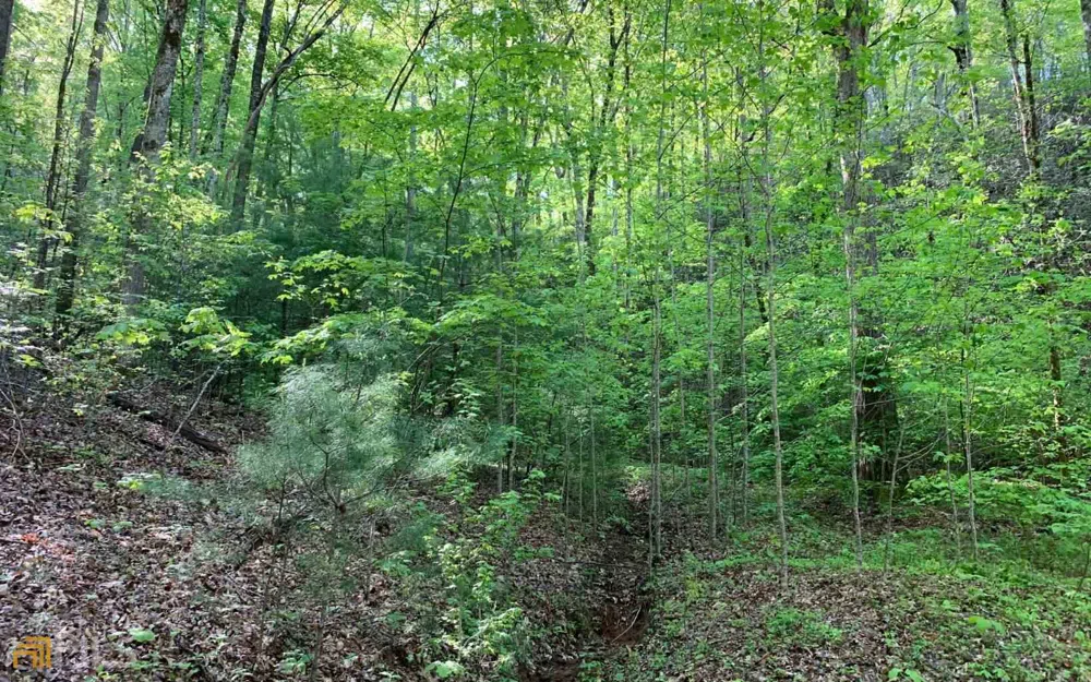 LOT 44 Fires Creek CV Hayesville, NC 28904