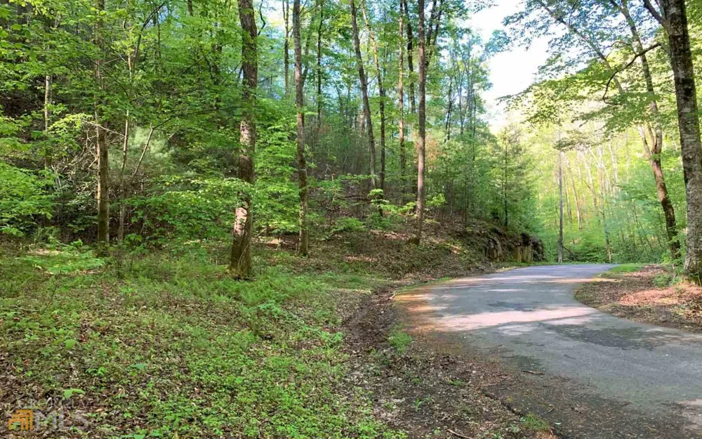 LOT 44 Fires Creek CV Hayesville, NC 28904
