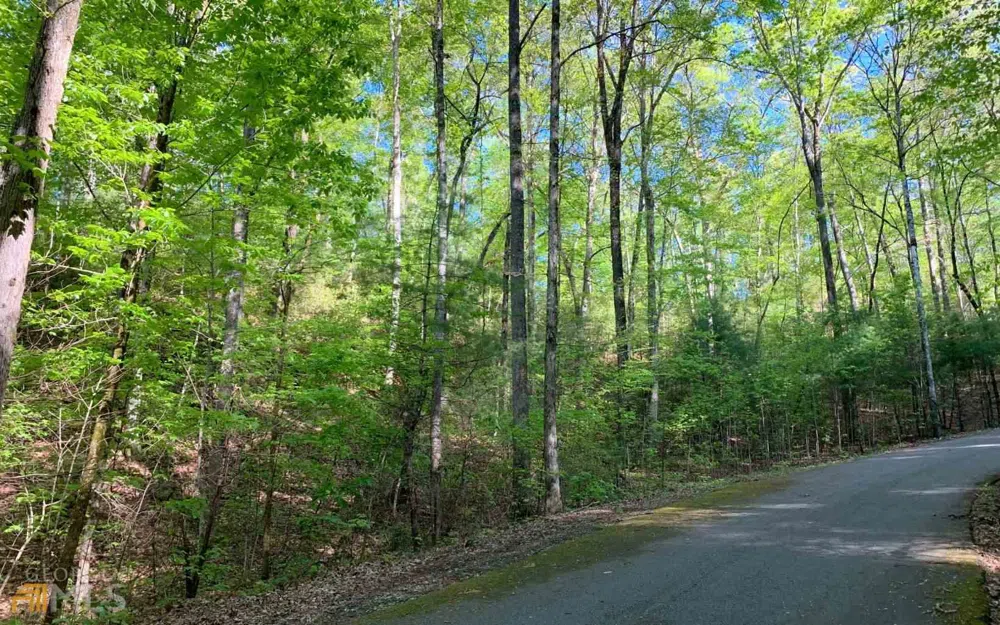 LOT 44 Fires Creek CV Hayesville, NC 28904