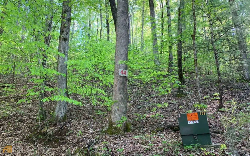 LOT 44 Fires Creek CV Hayesville, NC 28904
