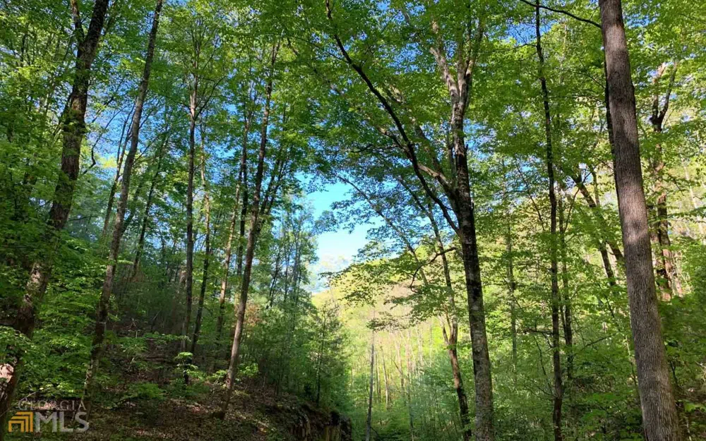 LOT 44 Fires Creek CV Hayesville, NC 28904