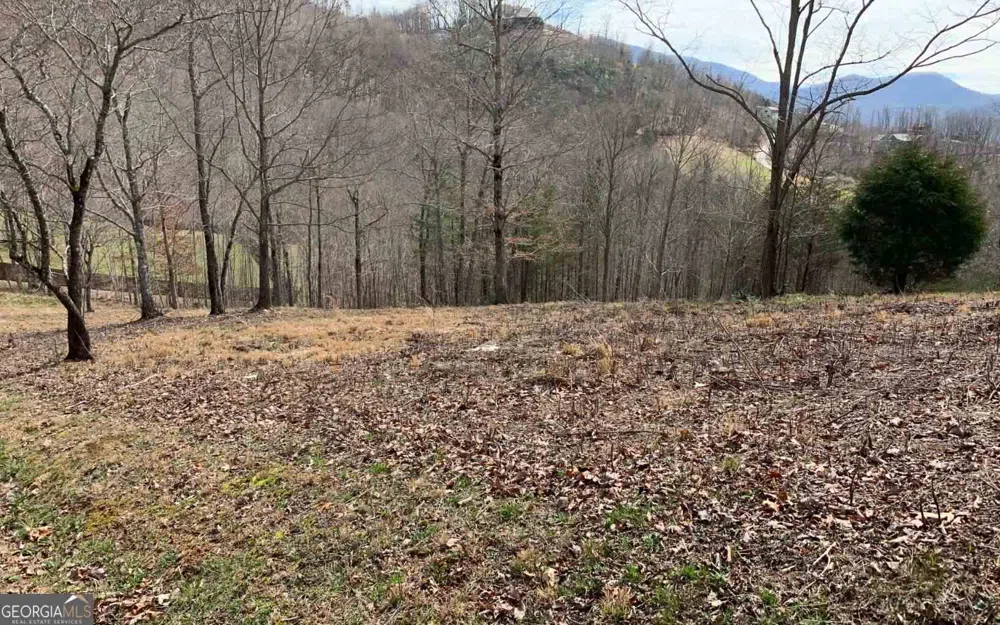 LOT 42 Dan Knob Hayesville, NC 28904