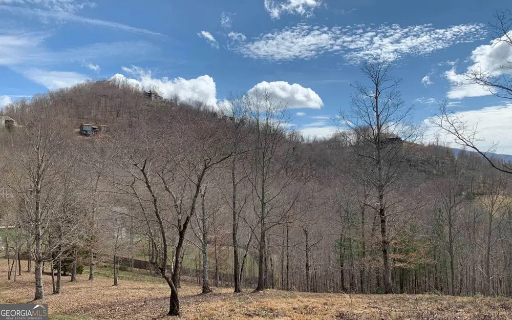 LOT 42 Dan Knob Hayesville, NC 28904