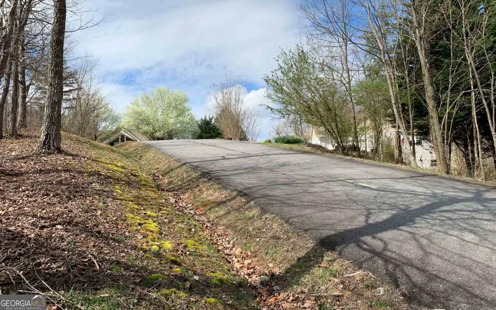LOT 42 Dan Knob Hayesville, NC 28904