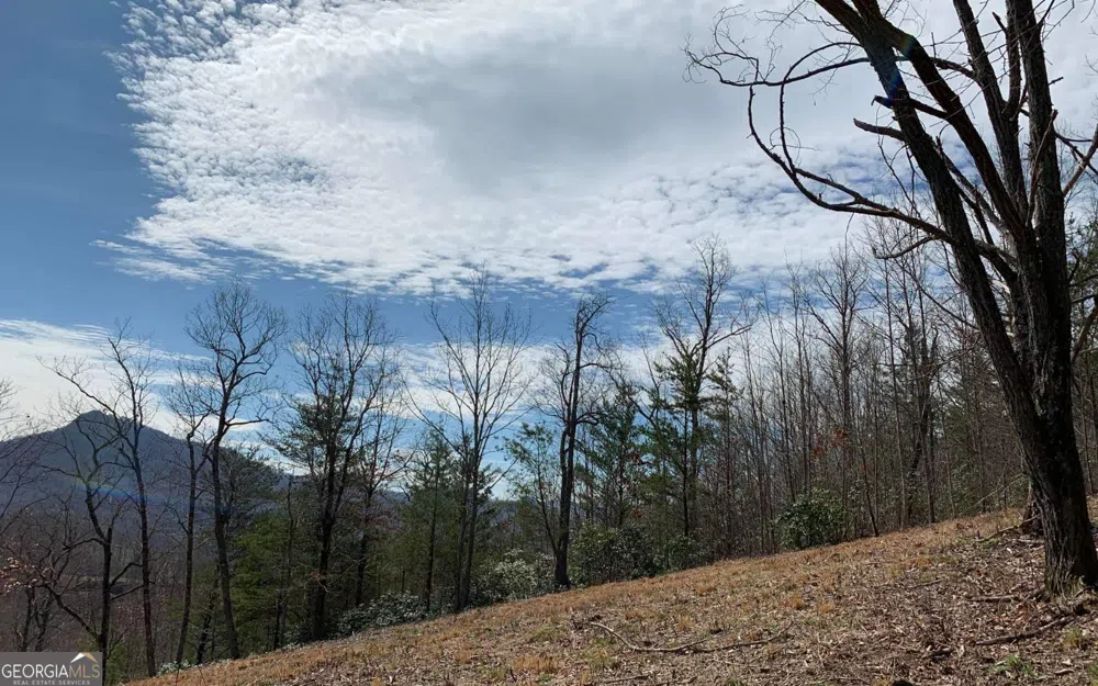 LOT 42 Dan Knob Hayesville, NC 28904