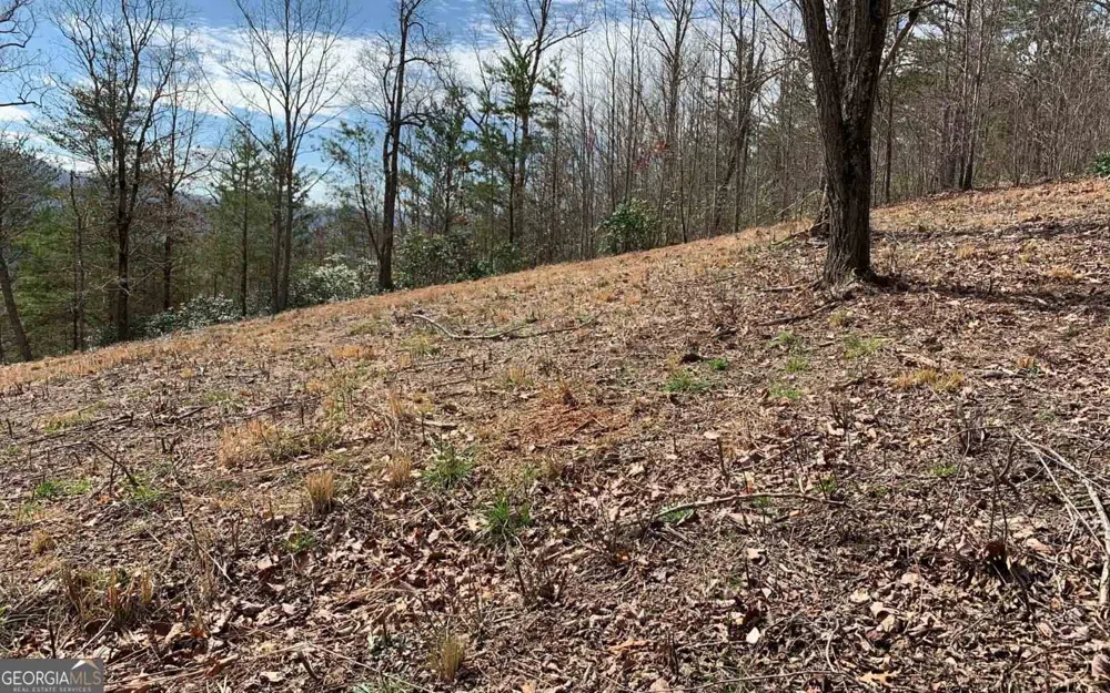 LOT 42 Dan Knob Hayesville, NC 28904
