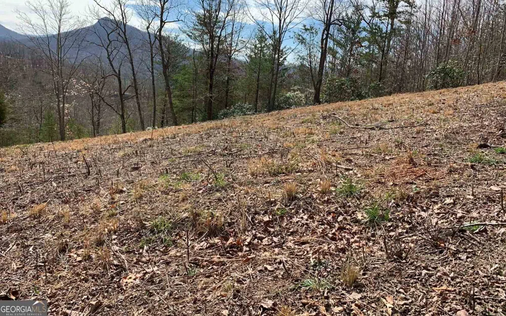 LOT 42 Dan Knob Hayesville, NC 28904