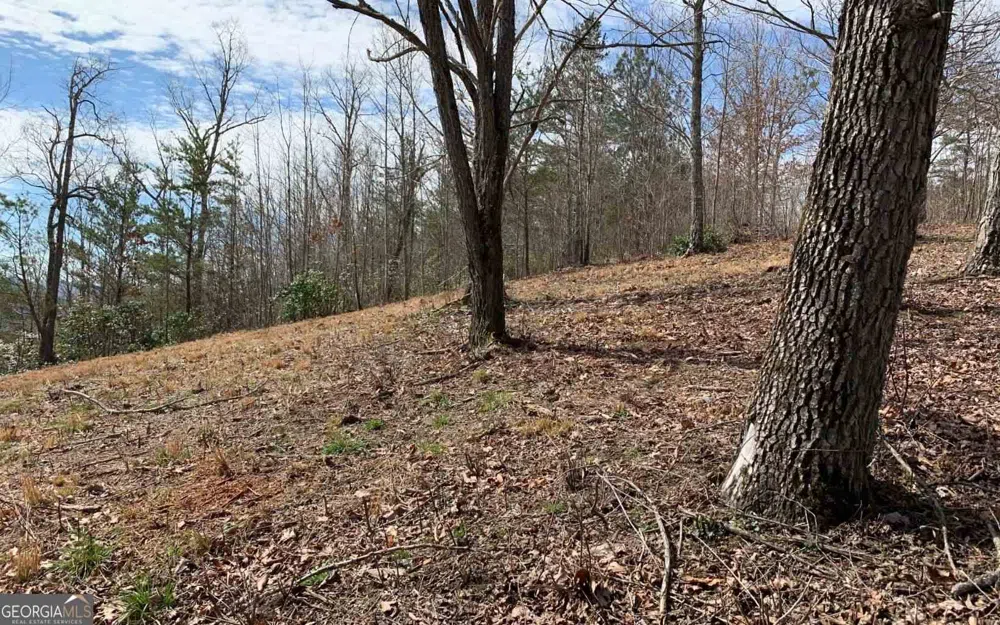 LOT 42 Dan Knob Hayesville, NC 28904