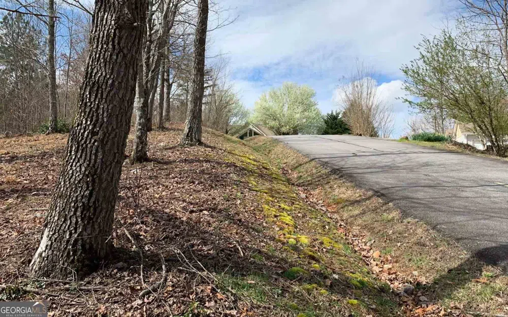LOT 42 Dan Knob Hayesville, NC 28904
