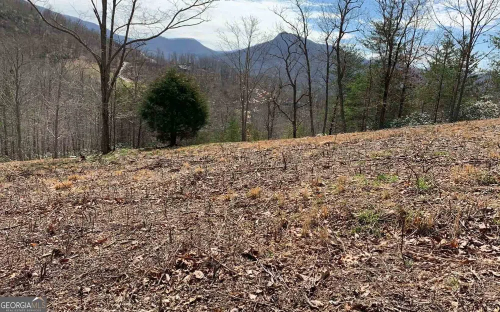 LOT 42 Dan Knob Hayesville, NC 28904