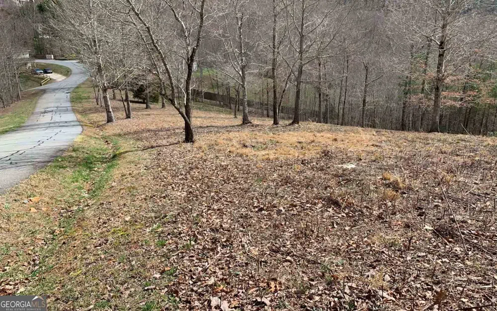 LOT 42 Dan Knob Hayesville, NC 28904