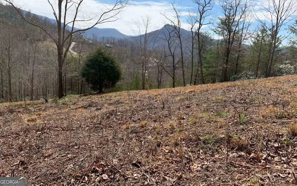 LOT 42 Dan Knob Hayesville, NC 28904